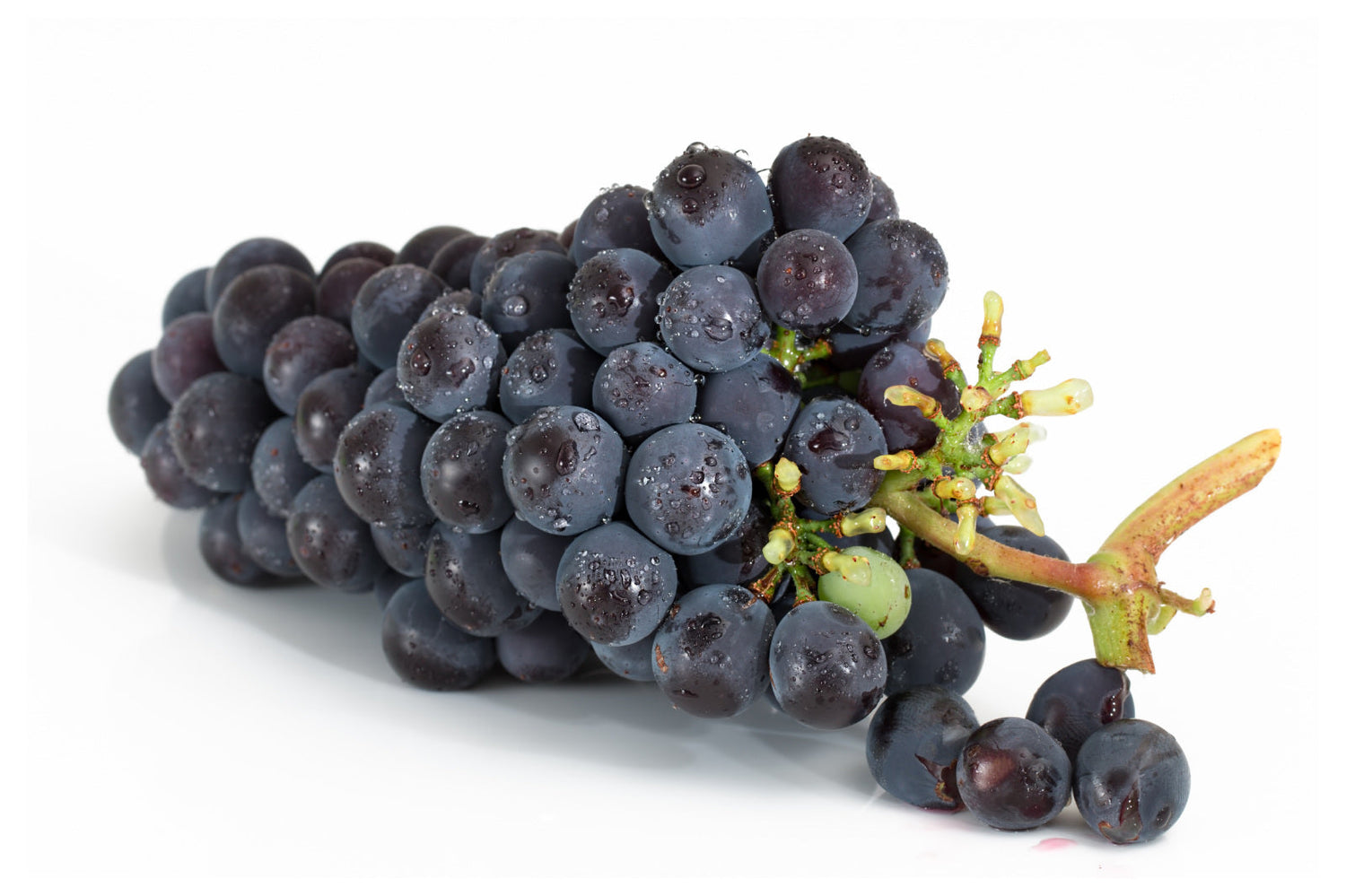 Products With Grape Seed Extract